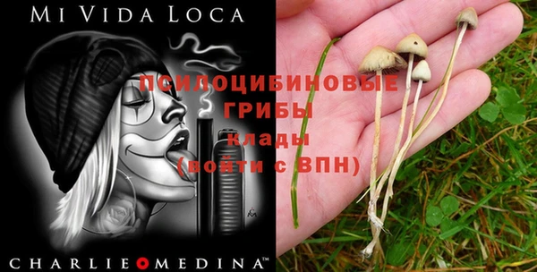 мяу мяу кристалл Абинск