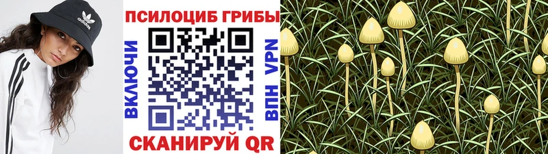 Псилоцибиновые грибы Magic Shrooms  Сусуман 